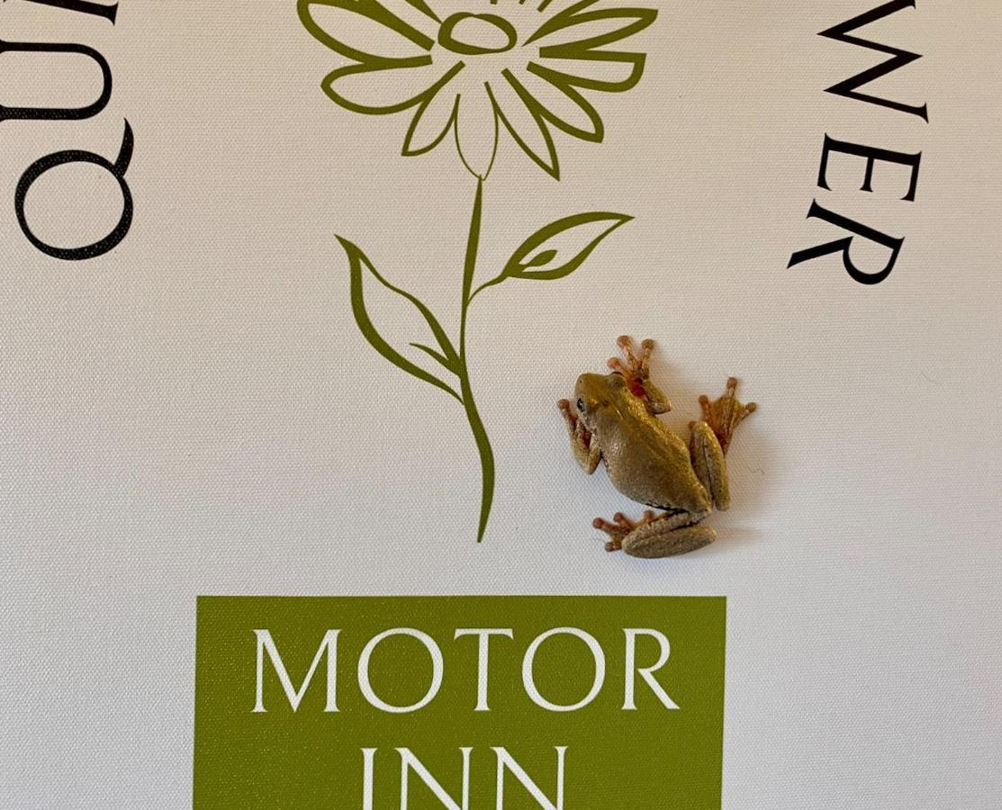 Quirindi Sunflower Motor Inn المظهر الخارجي الصورة
