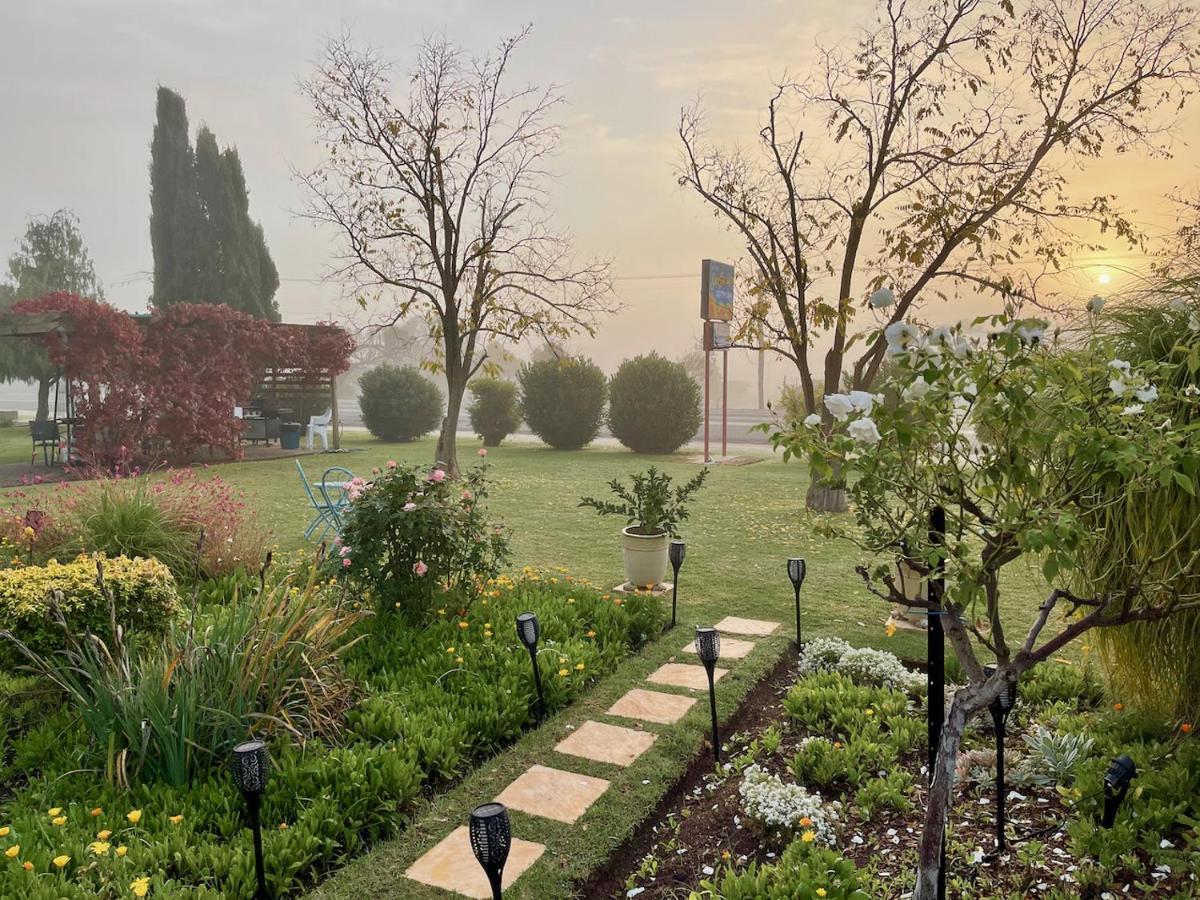 Quirindi Sunflower Motor Inn المظهر الخارجي الصورة