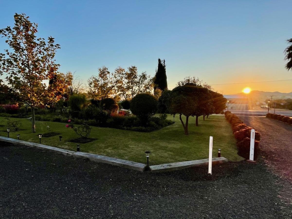 Quirindi Sunflower Motor Inn المظهر الخارجي الصورة