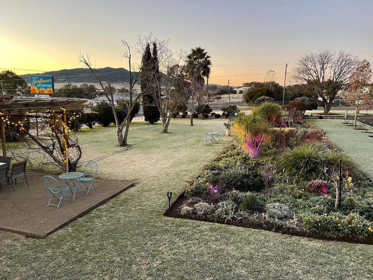 Quirindi Sunflower Motor Inn المظهر الخارجي الصورة