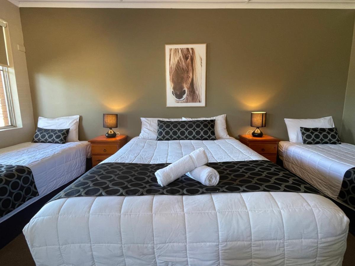 Quirindi Sunflower Motor Inn المظهر الخارجي الصورة